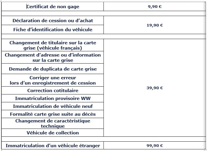 Carte grise en ligne minute, facile et rapide, en 48h à domicile